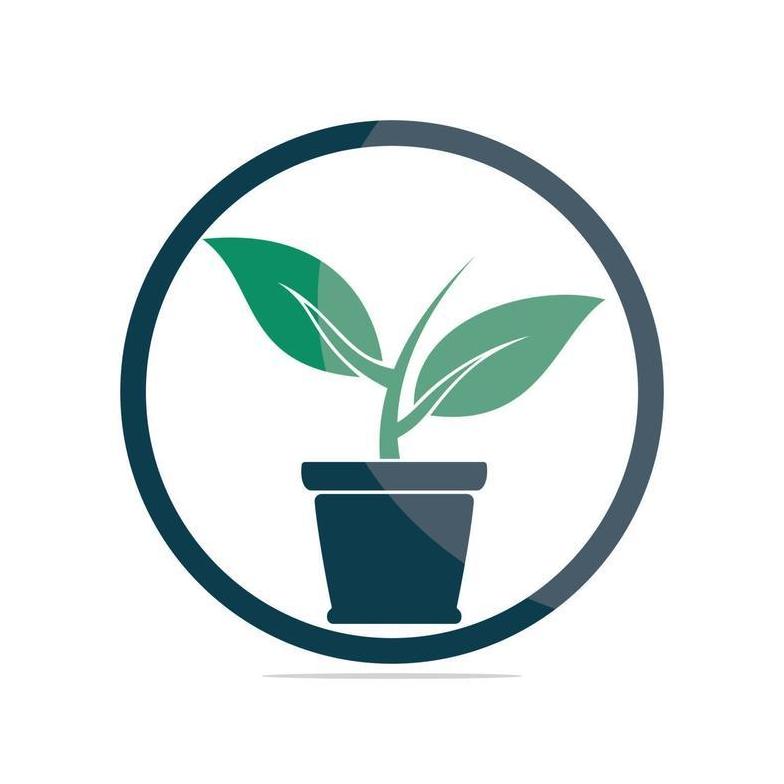 Plant  Pots